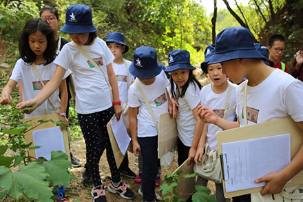 中小(xiǎo)學研學-野外(wài)實踐